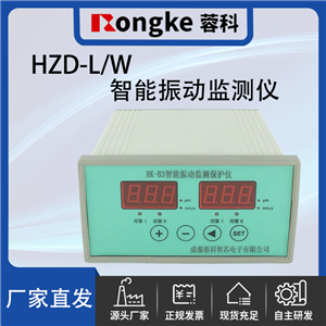 HZD-L/W振动检测表