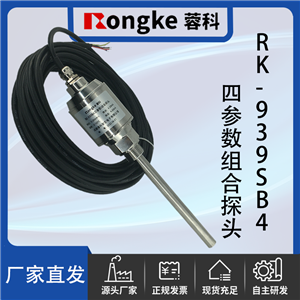 RK-939SB4一体四参数组合探头-厂家